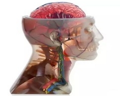 3D打印模型费用计算与特点分析